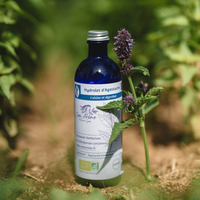 Hydrolat d'Agastache Bio