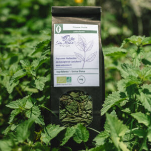 Tisane d'Ortie Bio
