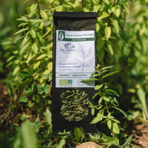 Tisane Verveine Citronnelle Bio