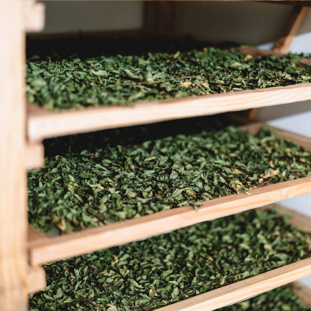 Le séchoir de Sem'Arôme