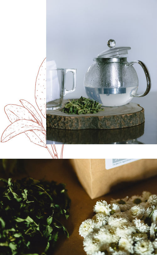 Comment préparer votre tisane ?