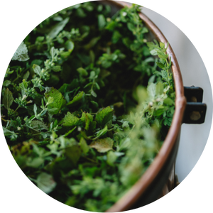 Un mélange de plantes dans un hydrolat de qualité