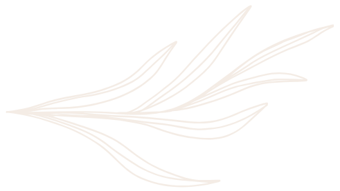 Illustration pour séparer la page